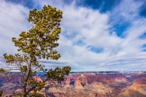 Grand Canyon. (photo by dancer Kenji Kobayashi)