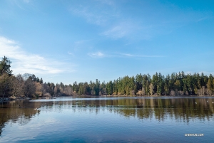 The group then heads to Vancouver's Stanley Park to take a walk by Lost Lagoon Lake. (Photo by dancer Daniel Jiang)